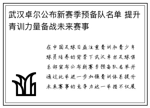 武汉卓尔公布新赛季预备队名单 提升青训力量备战未来赛事