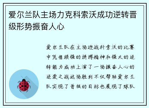 爱尔兰队主场力克科索沃成功逆转晋级形势振奋人心